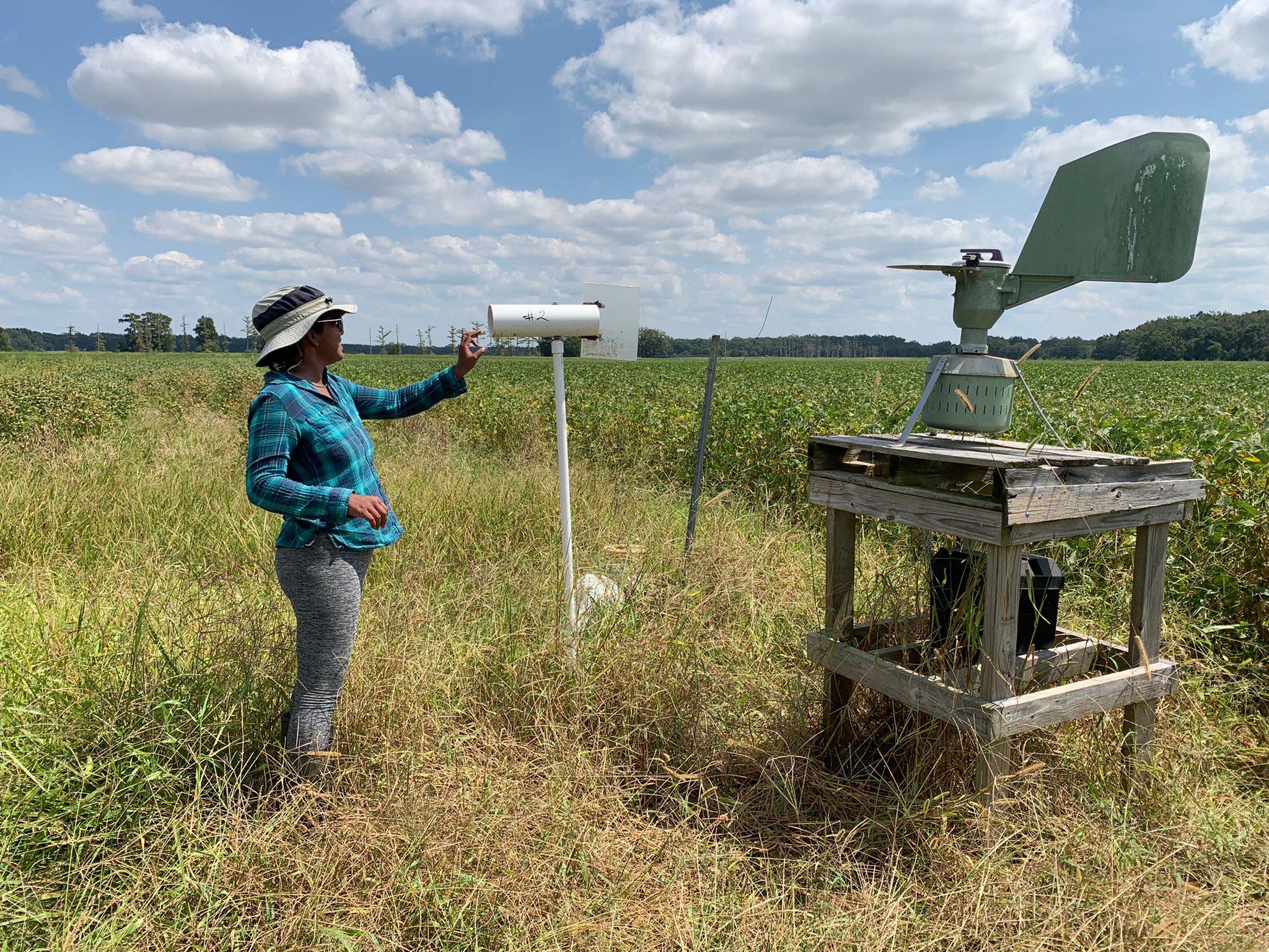 AgCenter researcher awarded $325,000 grant to study Cercospora leaf blight 